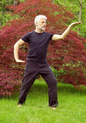Chi Kung - meditation in motion